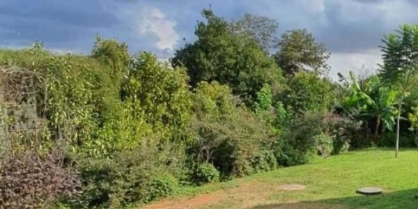 WhatsApp Image 2021-12-20 at 18.00.45